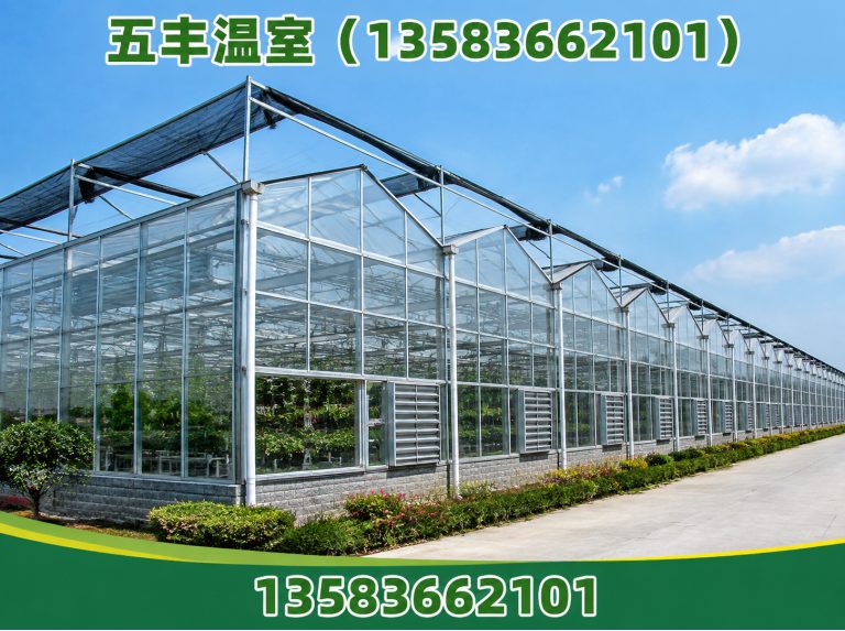 诸城市大棚建设展示图